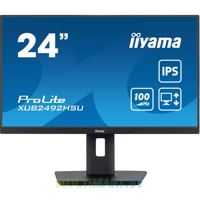 Монитор Iiyama ProLite XUB2492HSU-B6